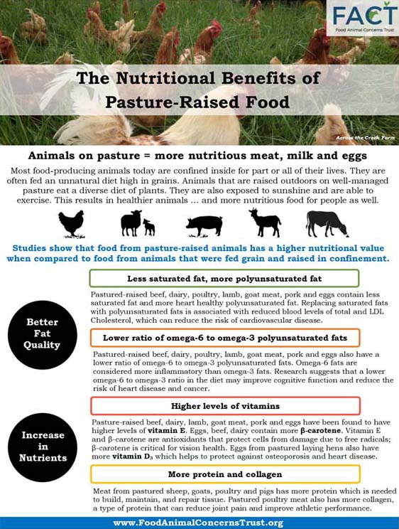 About KMK Cattle Co | KMK Cattle Company About KMK Cattle Co | KMK Cattle Company