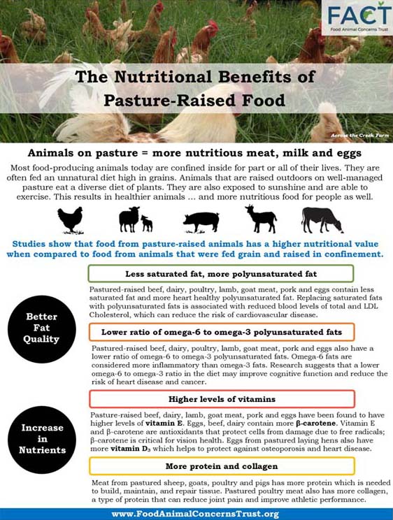 Summary-front_small_cropped KMK's Natural Beef Story